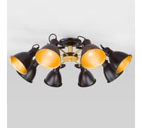 Потолочный светильник Eurosvet, 70112/8 черный a047638