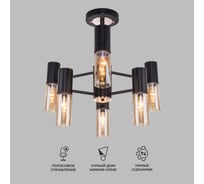 Потолочный светильник Eurosvet, 70125/6 черный a053245