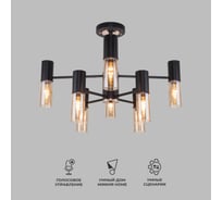 Потолочный светильник Eurosvet, 70125/8 черный a053246