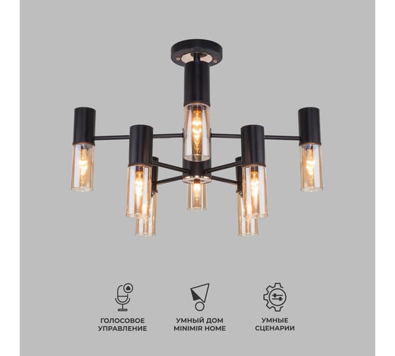 Потолочный светильник Eurosvet, 70125/8 черный a053246 1