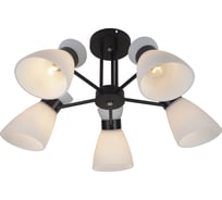 Потолочная люстра ReLuce 01416-0.3-05 BK+CR