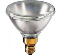 Лампа накаливания PHILIPS PAR38 120W E27 24V SP 10D 1CT/12 923810020511