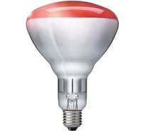 Лампа накаливания PHILIPS IR250RH BR125 230-250V E27 1CT/10 923212043801