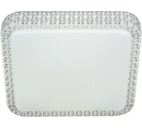 Потолочный светодиодный светильник ReLuce 07197-9.2-48WM