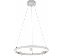 Подвесной светодиодный светильник ReLuce 02476-0.4-500