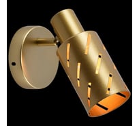 Спот ReLuce 05970-0.8-01 GOLD