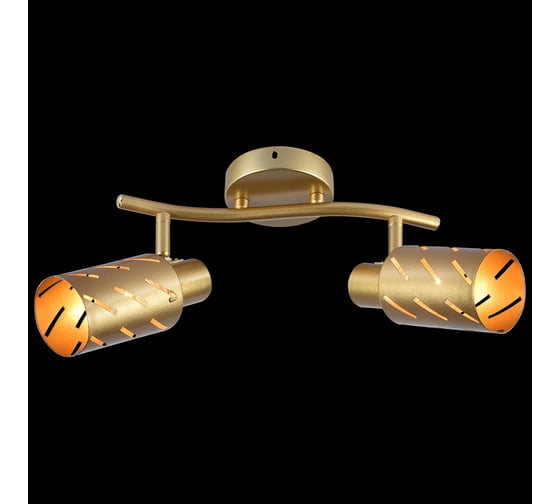 Спот ReLuce 05970-0.8-02 GOLD
