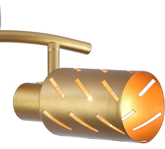 Спот ReLuce 05970-0.8-02 GOLD