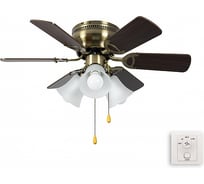 Люстра вентилятор DREAMFAN Fast REG 76 90104