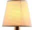 Бра ILLUMICO IL5272-1W-27 BK GD 2