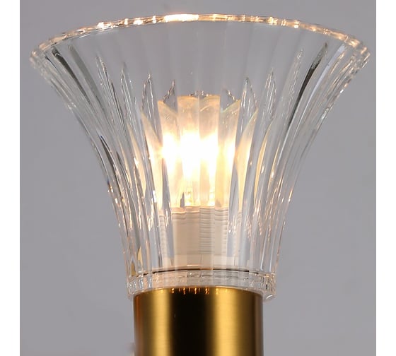 Бра ILLUMICO IL0288-2W-79 COP
