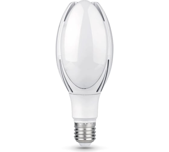 Лампа Gauss Basic BT110, AC180-240V, 50W, 4900lm, 6500K, E40, LED, 1/20 11834352