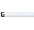 Люминесцентная лампа PHILIPS MASTER TL-D Super 80 36W/830 36Вт T8 3000К G13 927921083055 1