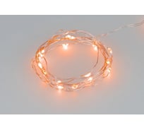 Светодиодная гирлянда Ardecoled ARD-DEW-HOME-2000-CLEAR-20LED-STD Orange 048702