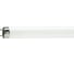 Люминесцентная лампа PHILIPS TL-D 30W/54-765 1SL/25 928025405451 1
