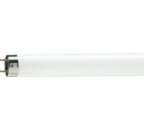 Люминесцентная лампа PHILIPS TL-D 30W/33-640 1SL/25 928025403351