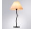 Декоративная настольная лампа ARTE LAMP AGATHA A5069LT-1BK 2