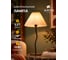 Декоративная настольная лампа ARTE LAMP AGATHA A5069LT-1BK 2
