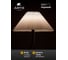 Торшер ARTE LAMP AGATHA A5069PN-1BK 4