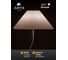 Торшер ARTE LAMP AGATHA A5069PN-1WH 4