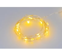 Светодиодная гирлянда Ardecoled ARD-DEW-HOME-2000-CLEAR-20LED-STD Yellow 048694