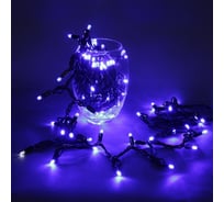 Светодиодная гирлянда Sneha A-026A BL/W FLASH