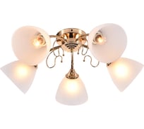 Люстра Rivoli 9052305 Roswita, Р5, золото, 5хЕ27, 60W, 98 Б0049196