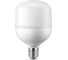 Светодиодная лампа PHILIPS для высоких пролетов 20W E27 холодный белый свет 220-240В 929002405908 1