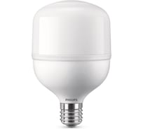 Светодиодная лампа PHILIPS для высоких пролетов 30W E27 холодный белый свет 220-240В 929002406508