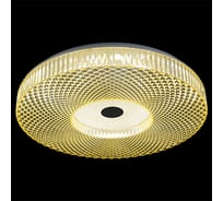 Потолочный светодиодный светильник ReLuce 02643-9.2-60WB