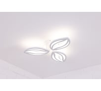 Люстра потолочная светодиодная Schaffner Veta 1655-3, цвет белый. Люстра с пультом управления, освещение до 12 кв.м, мощность 60 Вт Veta 1655-3 IR