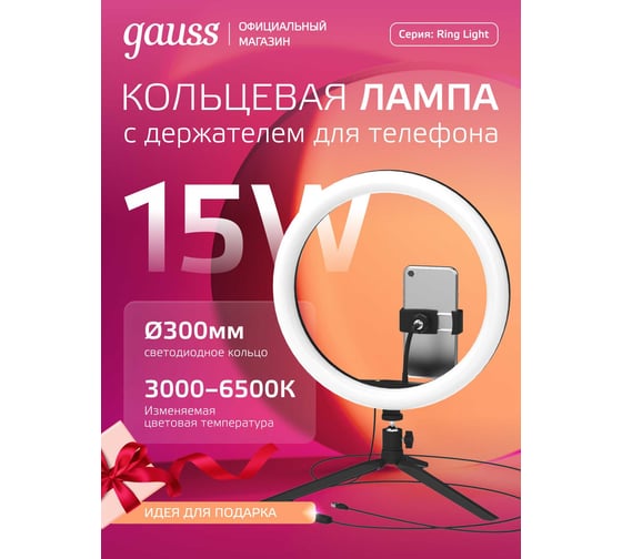 Кольцевой светодиодный светильник Gauss диам. 30см RL003