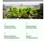 Фитосветильник светодиодный ПРОТОН ФитоШток 220/50-ФСЛ.Д-05.1-SSU 3