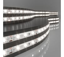 Светодиодная лента Elektrostandard 2835, 12V, 60Led, 4.8W, IP65 4200K дневной белый a050577