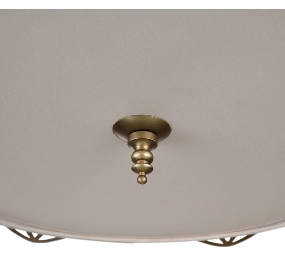 Подвесной светильник Maytoni Burgeon ARM959-PL-06-G
