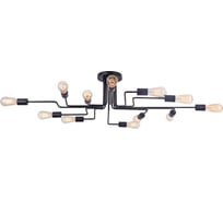 Люстра Maytoni Gilbert T532CL-12B