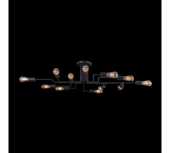 Люстра Maytoni Gilbert T532CL-12B
