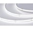 Светодиодная лента Arlight COB-X378-8mm 24V White6000 5м 031885(3) 1