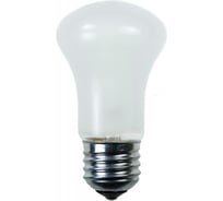 Лампа накаливания General Electric GE 75MK1/FR/E27 --50 91699