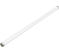 Светодиодная линейная лампа Gauss T8 10W 800lm 6500K G13 600mm стекло 1930302