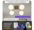 Умная люстра Citilux Адам Смарт RGB LED Бронза CL228A143 15