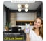 Умная люстра Citilux Адам Смарт RGB LED Бронза CL228A143 16