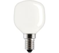 Лампа накаливания General Electric GE 60T45/SL/E14 --50 91952