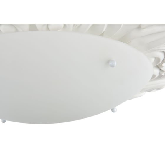 Люстра Maytoni Tamina C901-CL-04-W