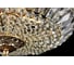 Люстра Maytoni Tiara DIA500-CL-40-06-G 7