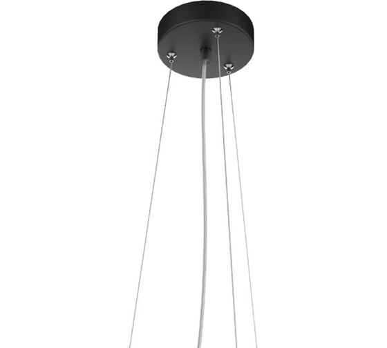 Комплект для подвеса светильников Nimbus и DL VARTON черный RAL9005мр, длина троса 2,5 м V4-A0-90.0025.CBL-0000