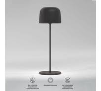 Светильник светодиодный настольный Elektrostandard Bitty черный a069002