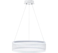 Люстра подвесная Lumion LED 38W FELISITI 8104/38L