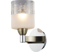 Бра Maytoni Tasmania TOC003-01-R