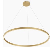 Подвесной светильник MAYTONI Rim MOD058PL-L54BSK